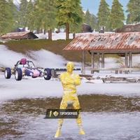 gg117293453109164592714