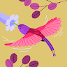 Asmaa.kamal