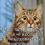 dom12rus