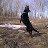 Image Description