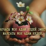 Shirin83
