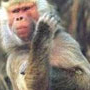 Shezar7
